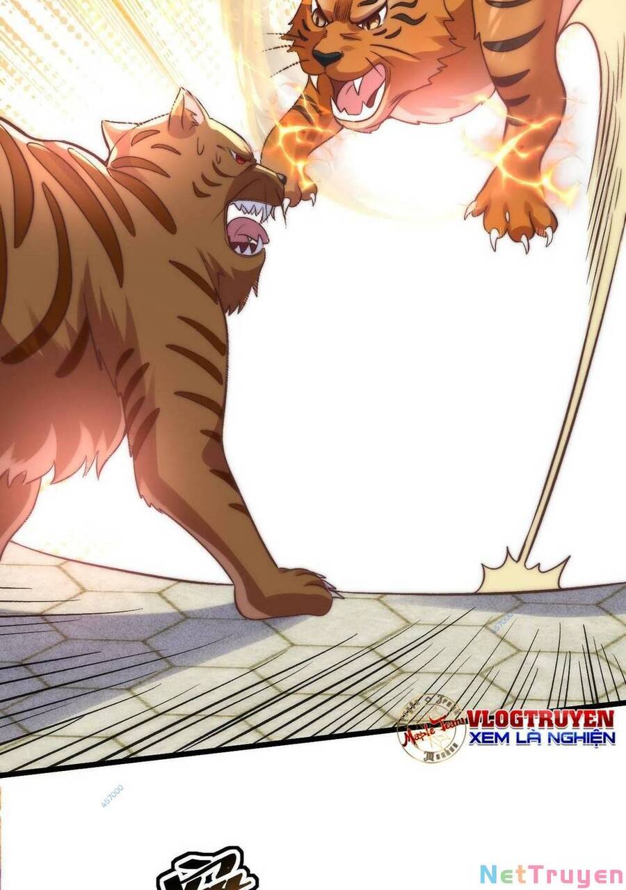 Lô Đỉnh Độc Quyền Của Các Nữ Đế Tương Lai Chapter 14 - 13