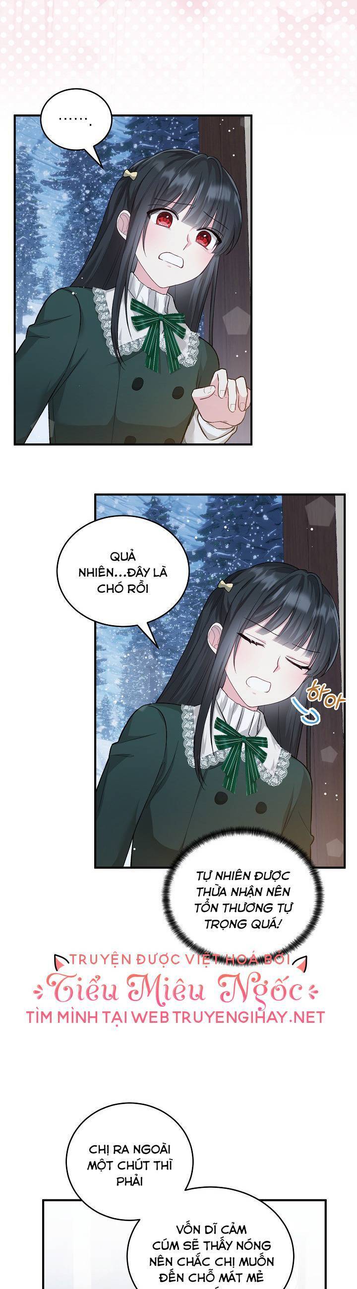 Nữ Chính Muốn Tôi Trở Thành Chị Dâu Của Cô Ấy Chapter 20 - 29