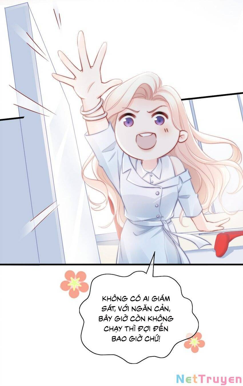 Ngôn Tiếu Loan Loan Chapter 10 - 16