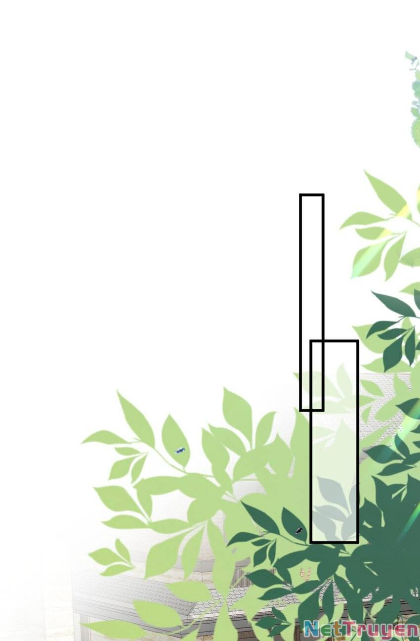 Ngôn Tiếu Loan Loan Chapter 23 - 12