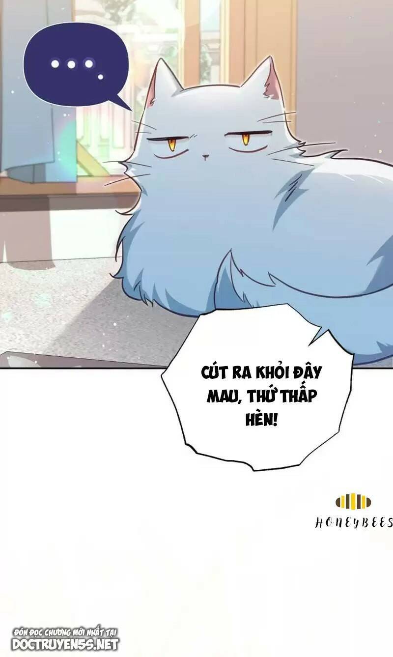 Không Có Nơi Nào Dành Cho Công Chúa Giả Mạo Chapter 33 - 31