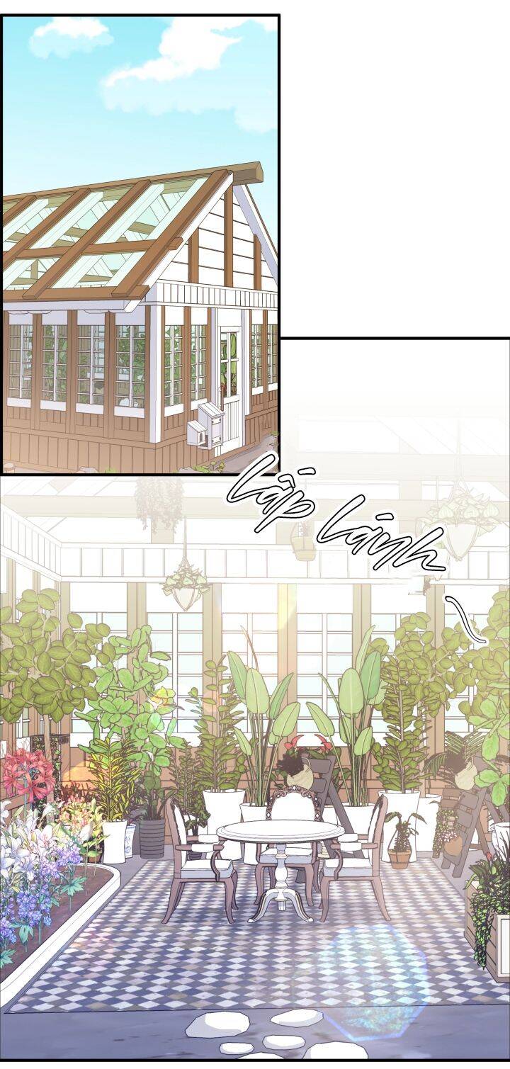 Chủ Tịch Đi Học Chapter 31 - 30