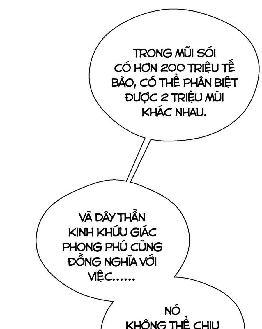 Thảm Họa Ngày Tận Thế, Tôi Tái Sinh Biến Cả Gia Đình Trở Thành Một Ông Trùm! Chapter 14 - 38
