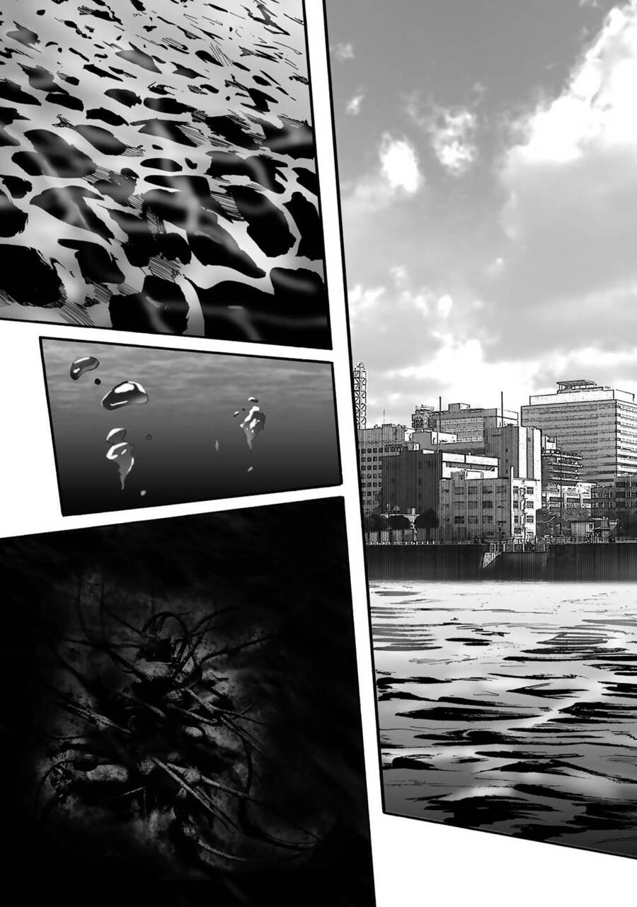 Insects R Chapter 1 - 28