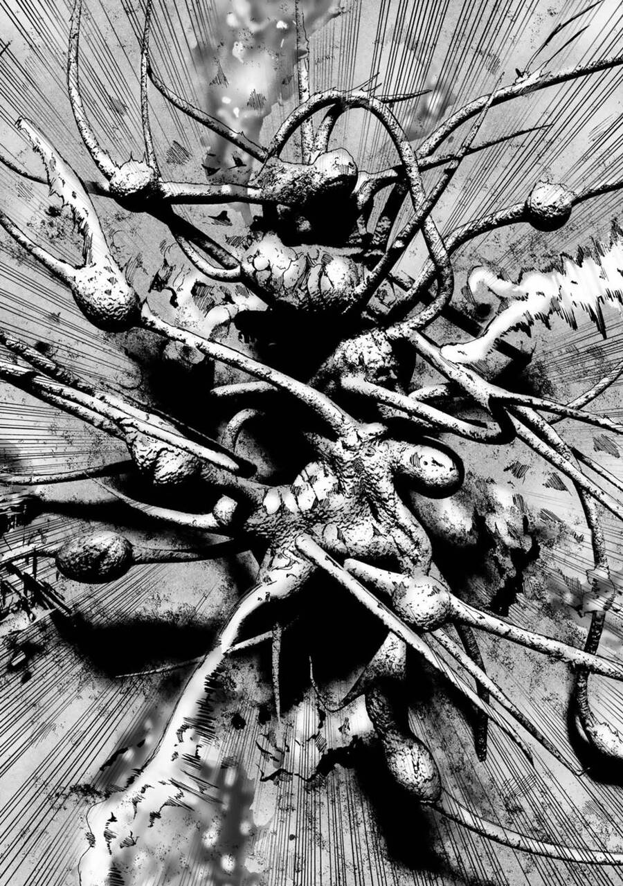 Insects R Chapter 1 - 29