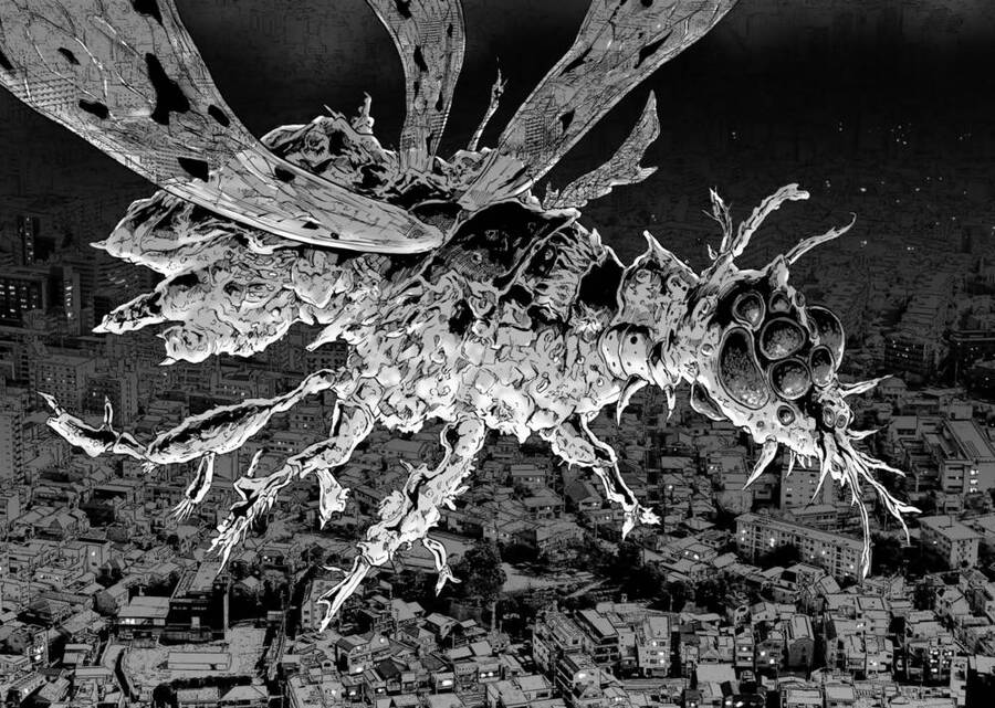 Insects R Chapter 1 - 7