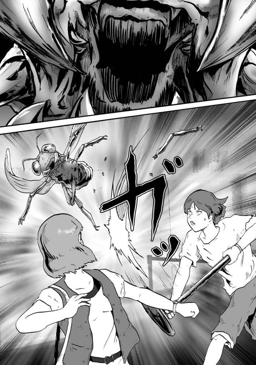 Insects R Chapter 2 - 11