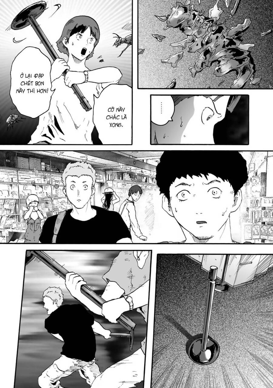 Insects R Chapter 2 - 13