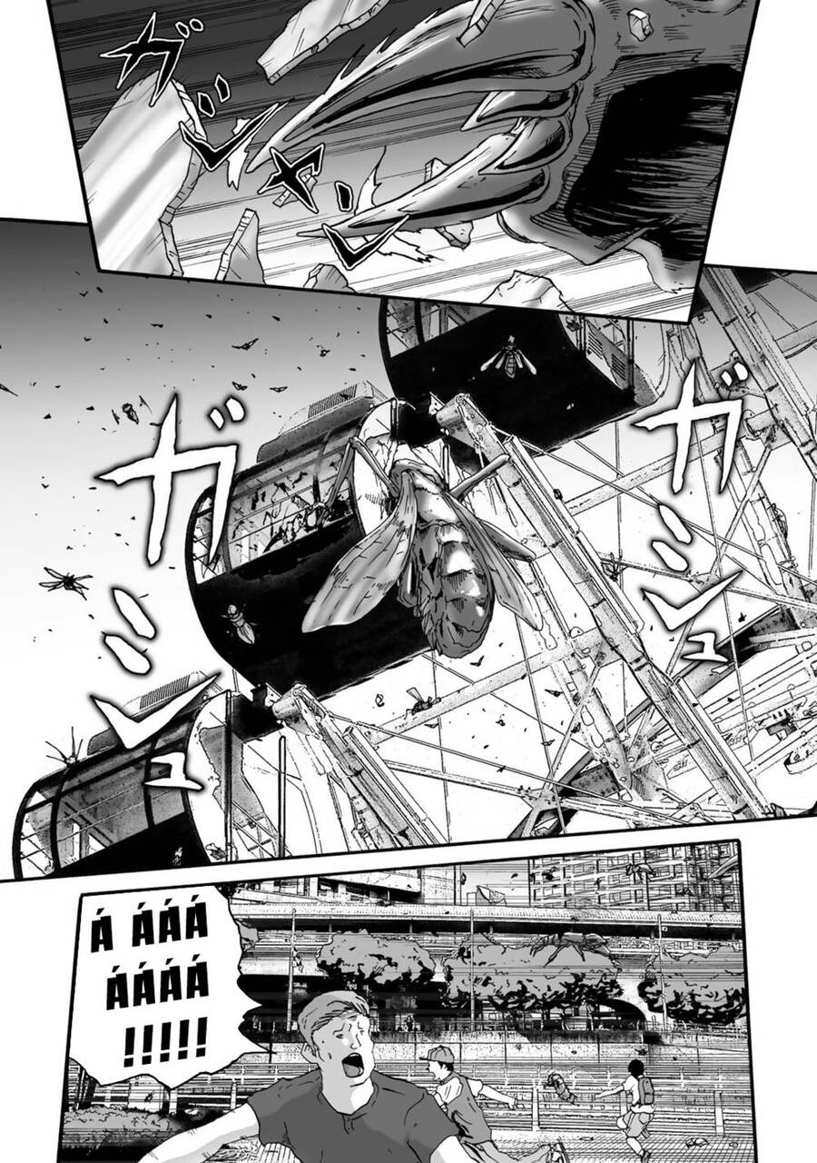 Insects R Chapter 2 - 3