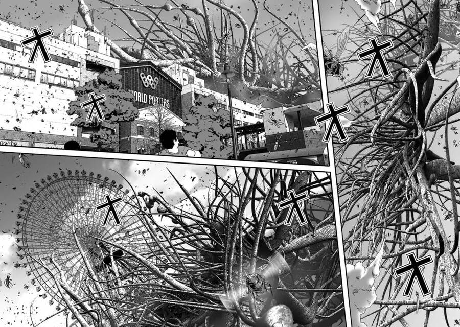 Insects R Chapter 2 - 22