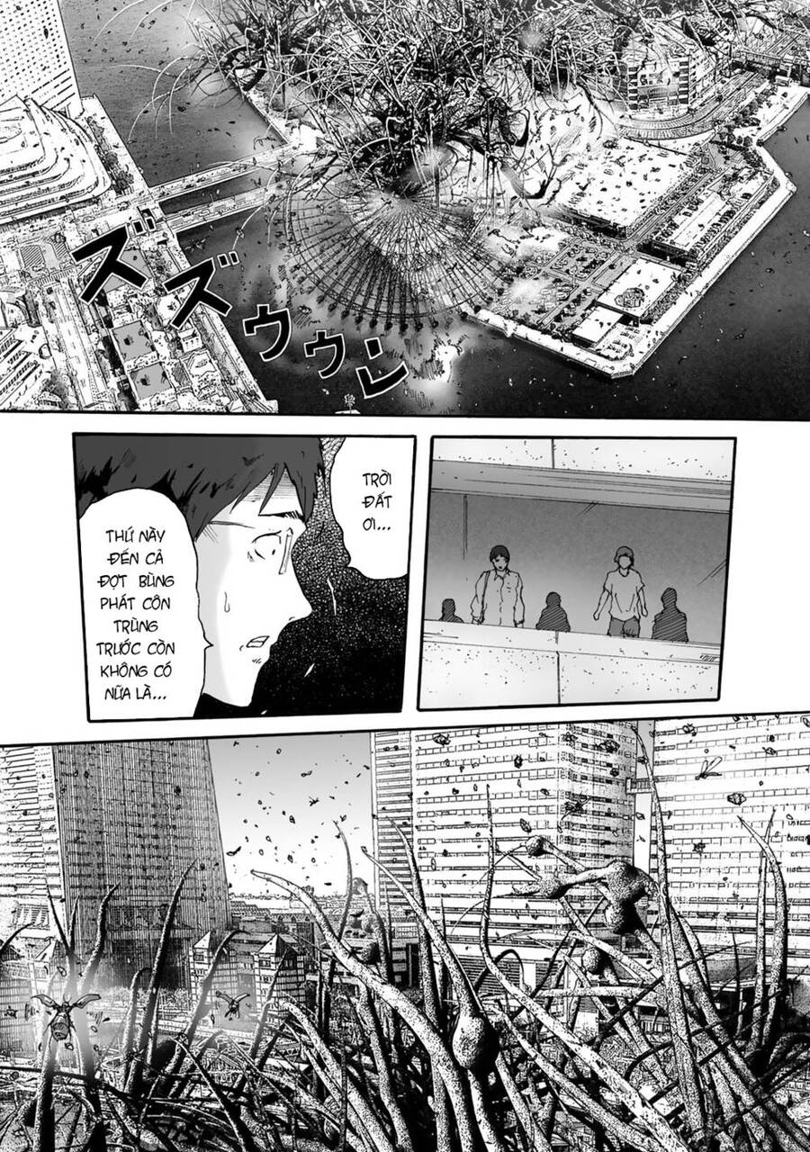 Insects R Chapter 2 - 24