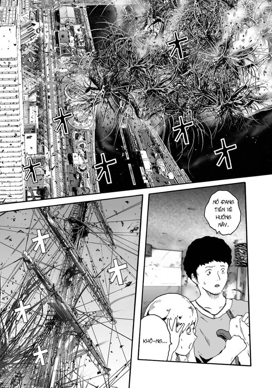 Insects R Chapter 2 - 29