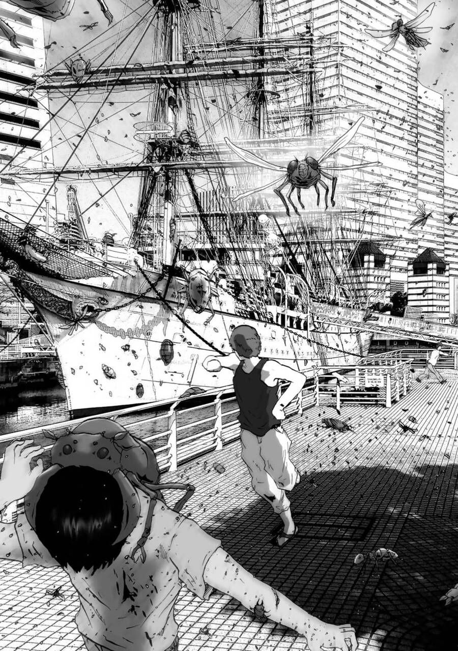 Insects R Chapter 2 - 4