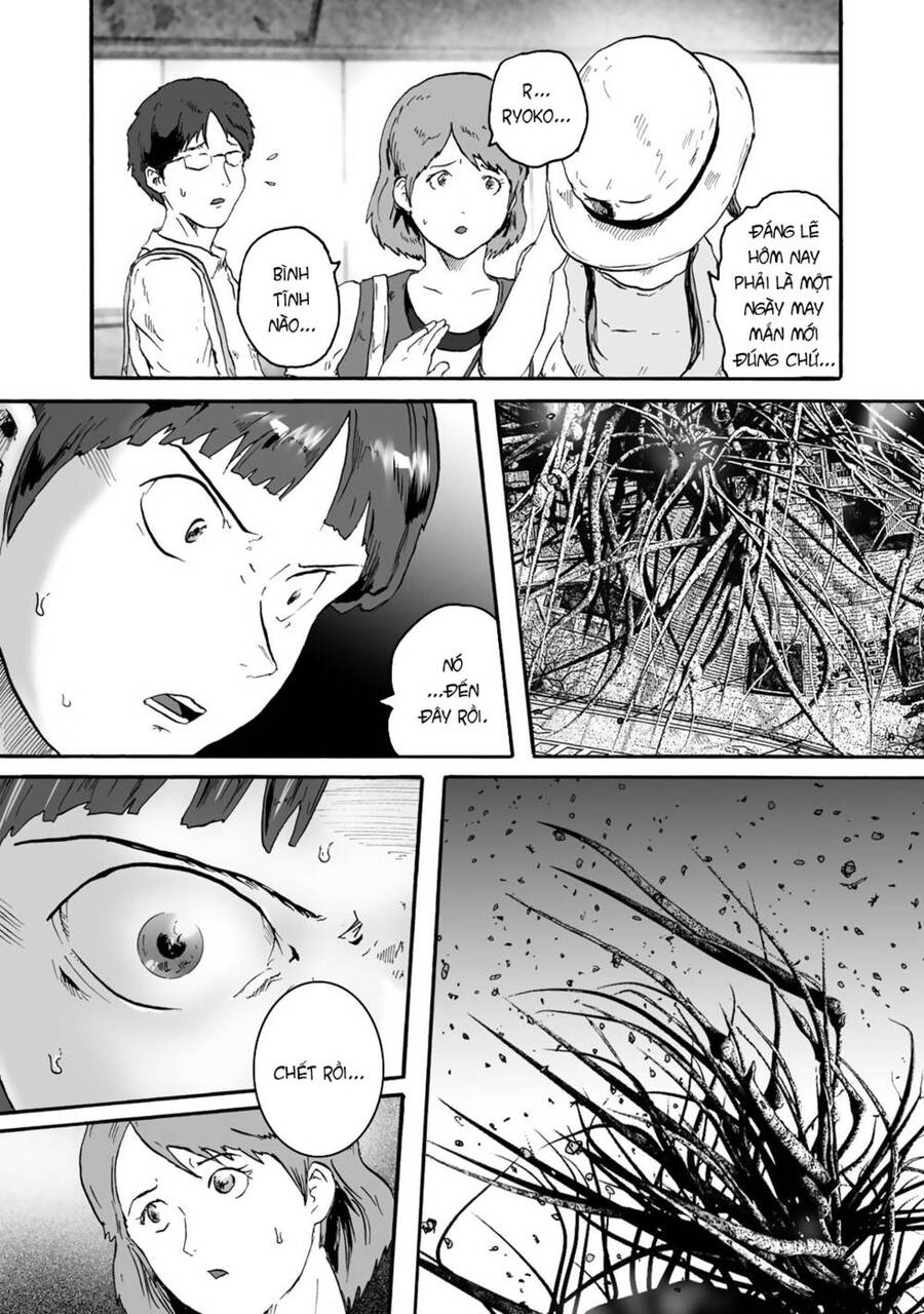 Insects R Chapter 2 - 31