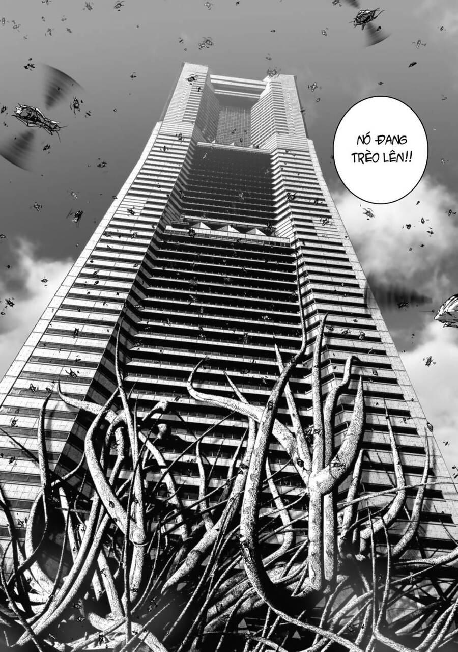 Insects R Chapter 2 - 32