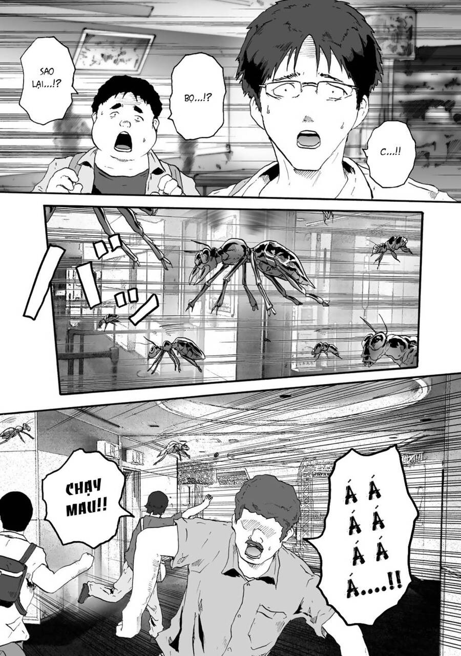 Insects R Chapter 2 - 9