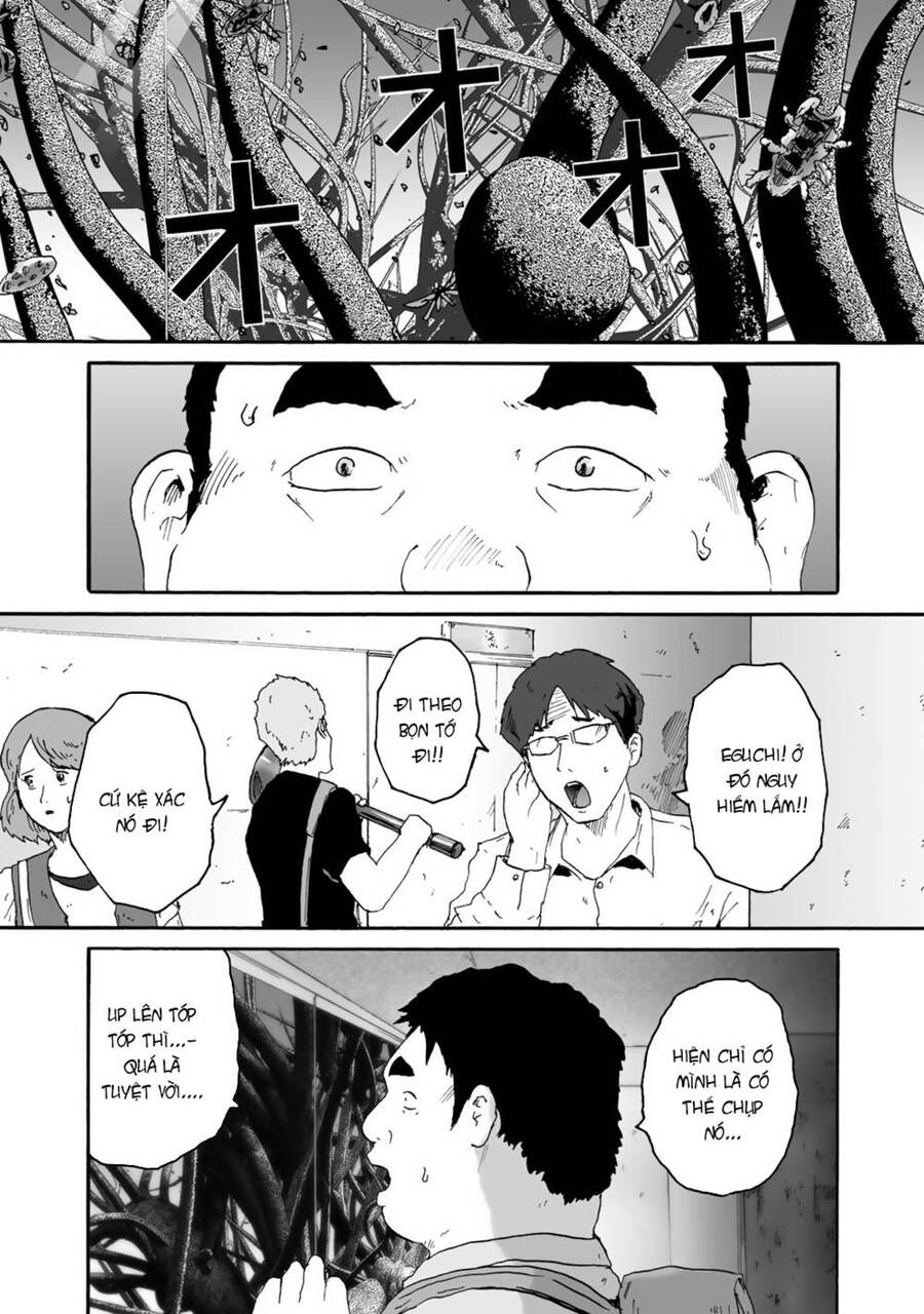 Insects R Chapter 4 - 13