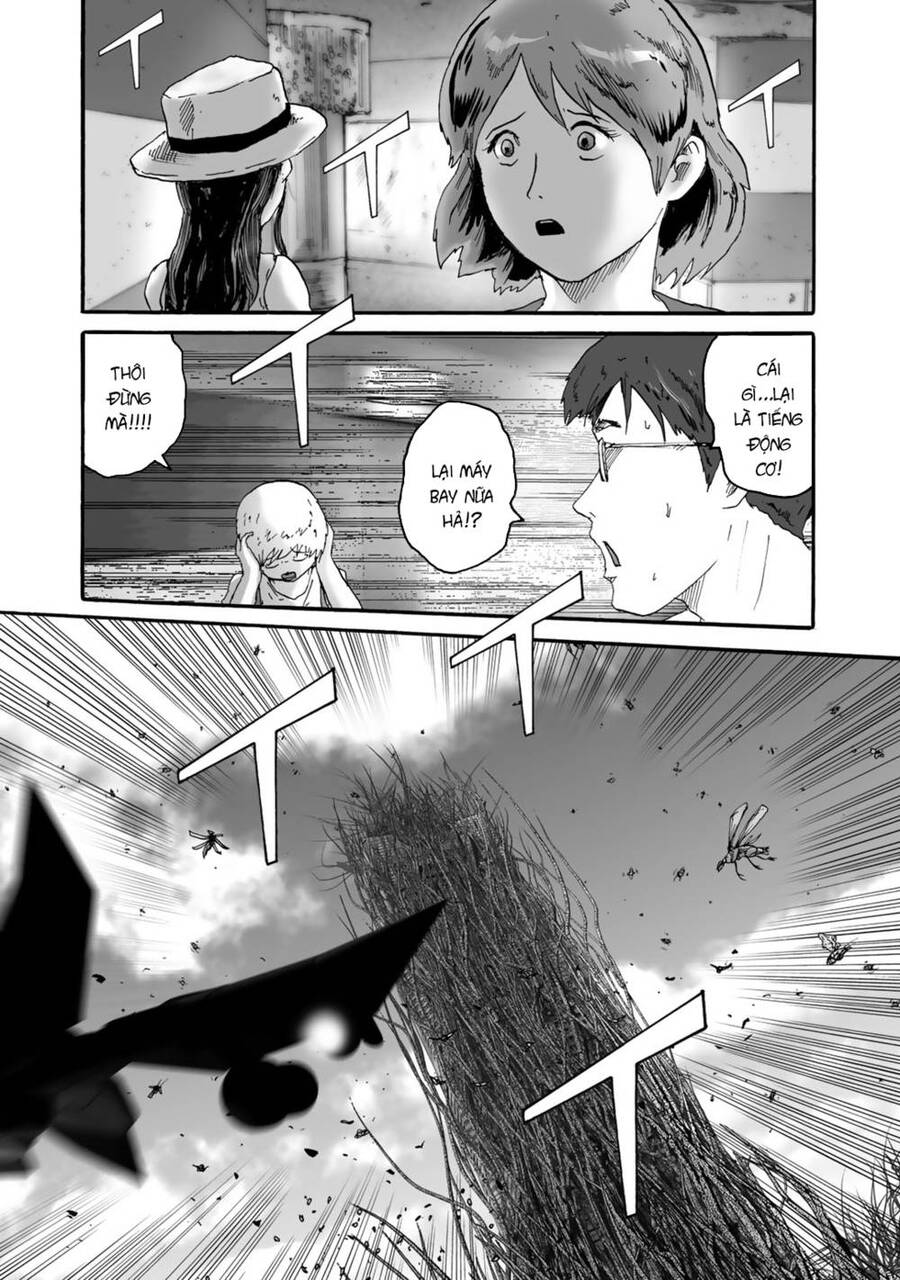 Insects R Chapter 4 - 14