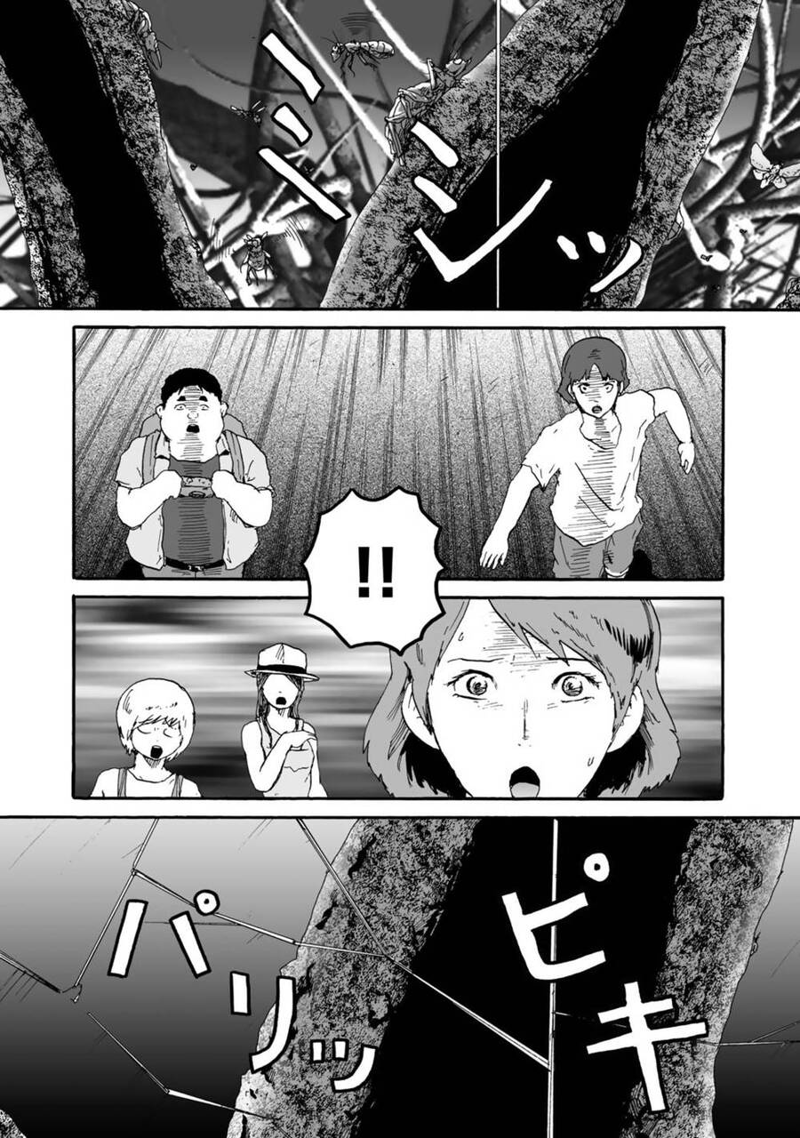 Insects R Chapter 4 - 20