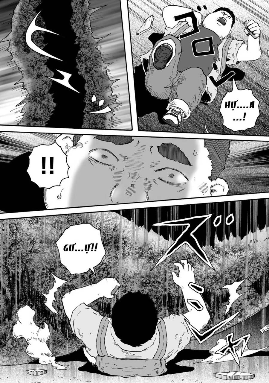 Insects R Chapter 4 - 22