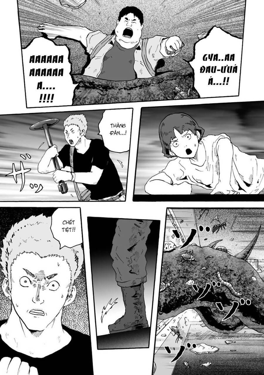 Insects R Chapter 4 - 23