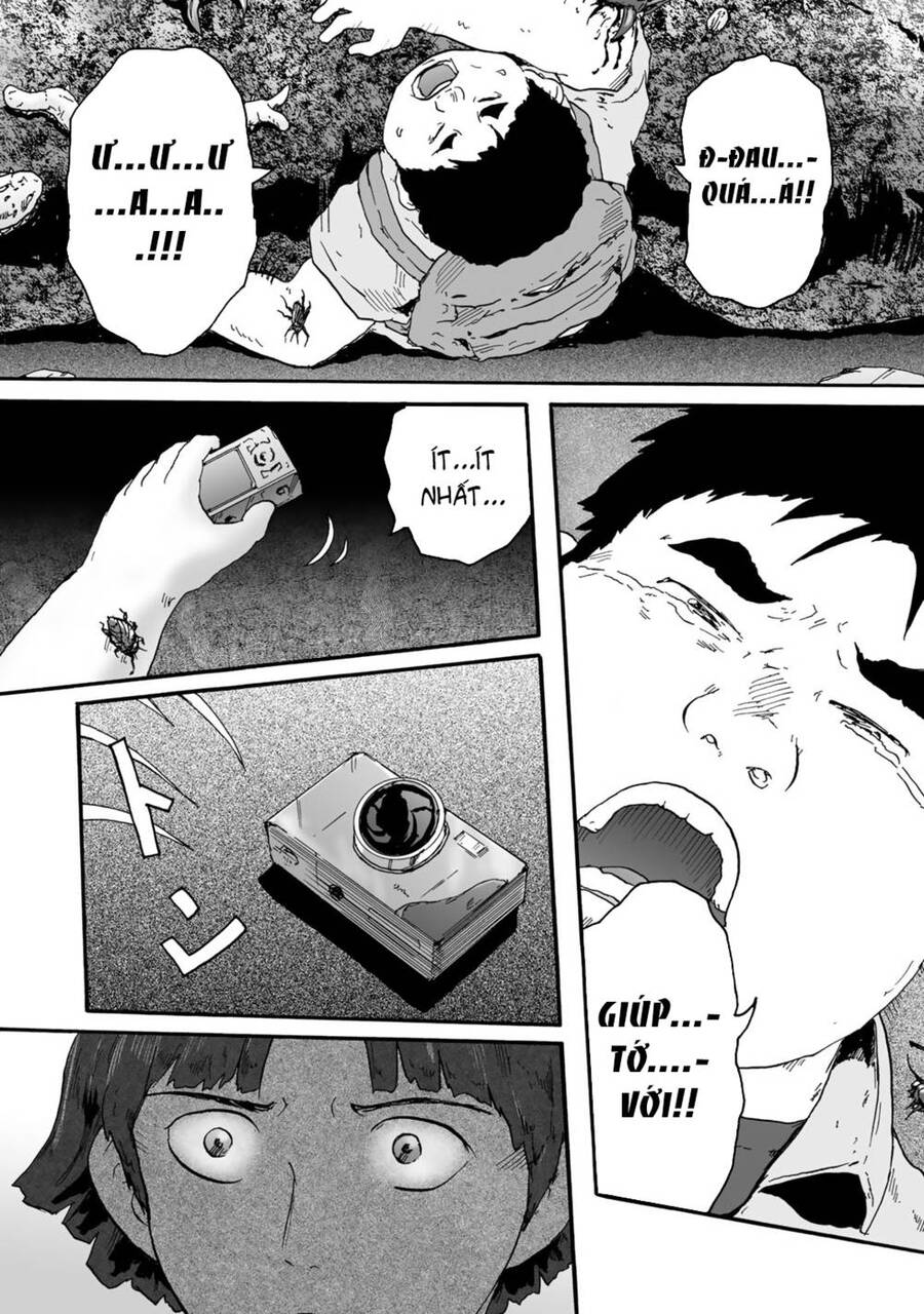 Insects R Chapter 4 - 25