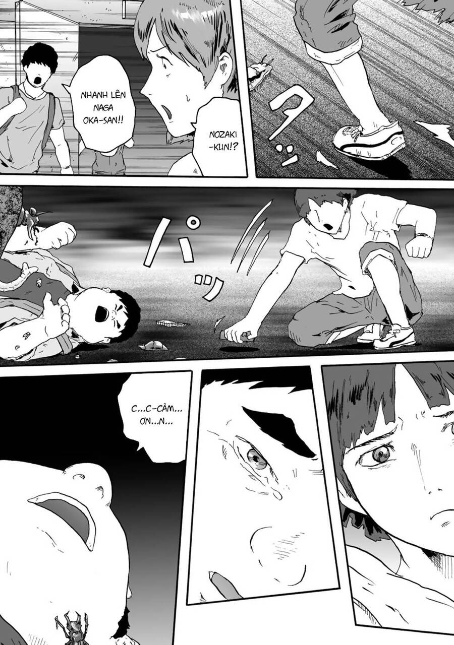 Insects R Chapter 4 - 26