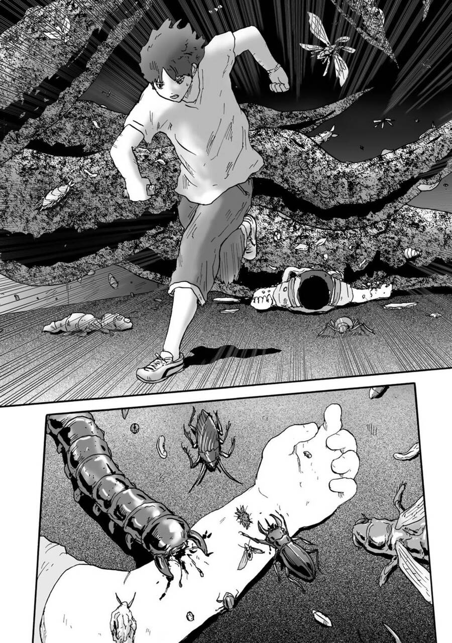 Insects R Chapter 4 - 27