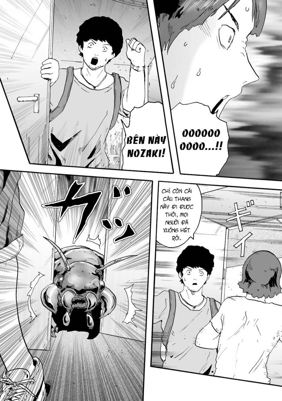 Insects R Chapter 4 - 28