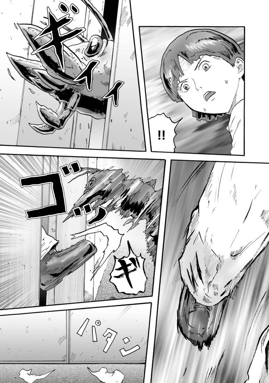 Insects R Chapter 4 - 29