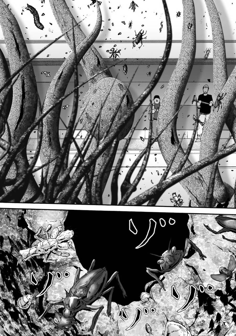 Insects R Chapter 4 - 8