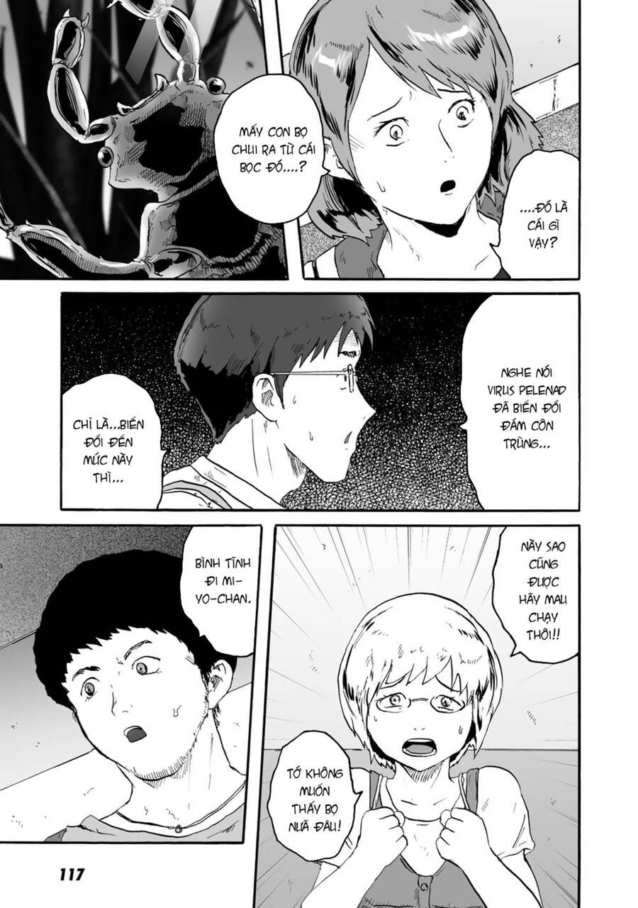 Insects R Chapter 4 - 9