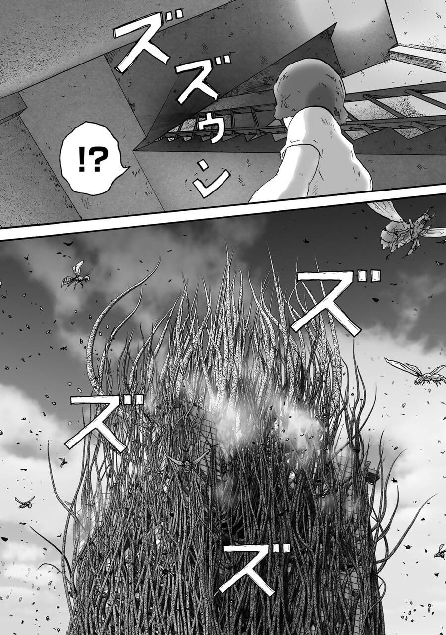 Insects R Chapter 5 - 2