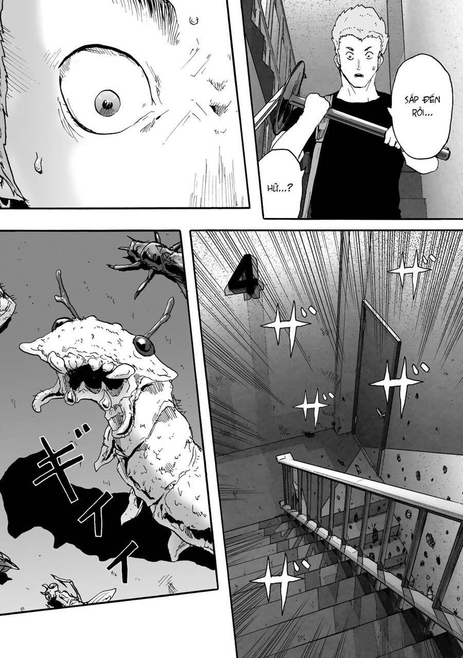 Insects R Chapter 5 - 22