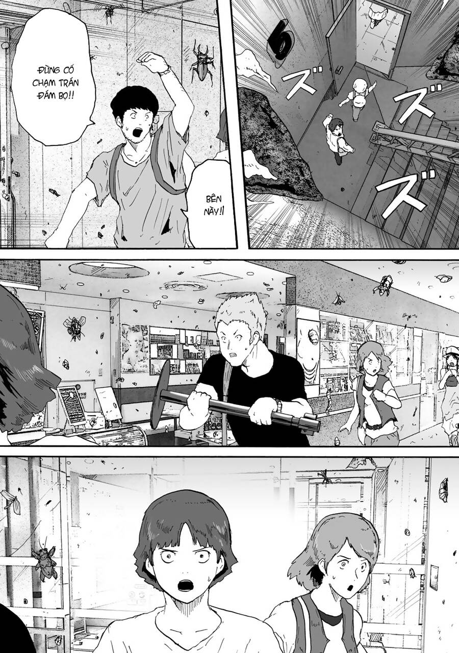 Insects R Chapter 5 - 25