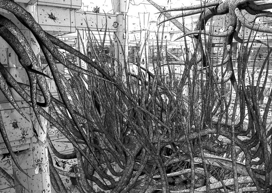 Insects R Chapter 5 - 26