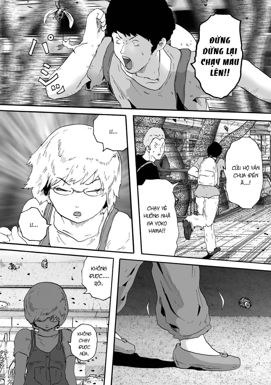 Insects R Chapter 5 - 27