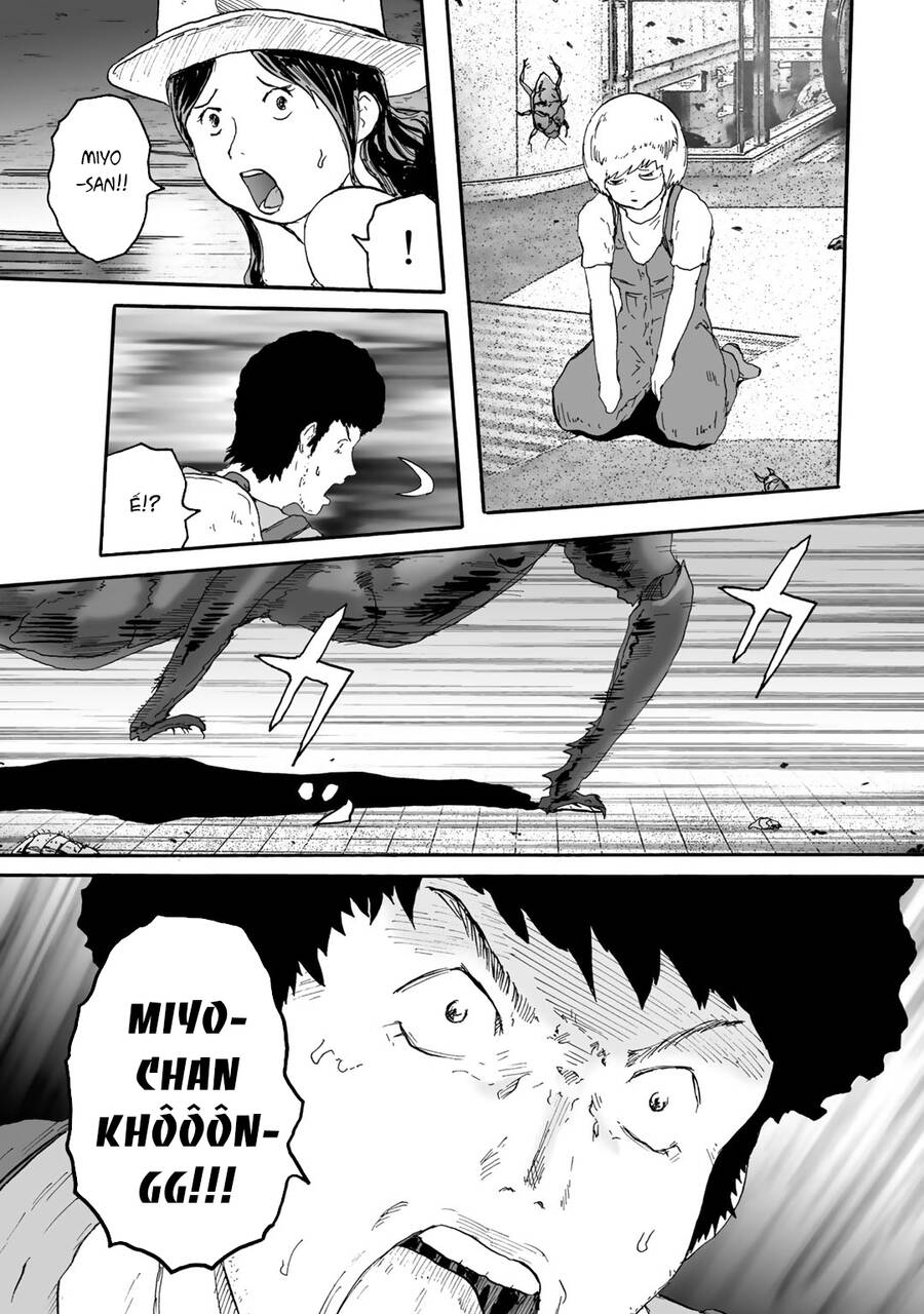 Insects R Chapter 5 - 28