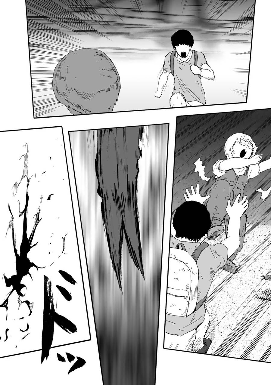 Insects R Chapter 5 - 29