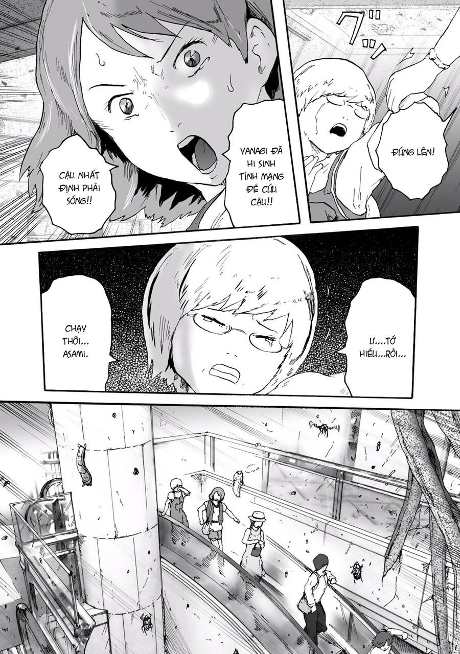 Insects R Chapter 6 - 11