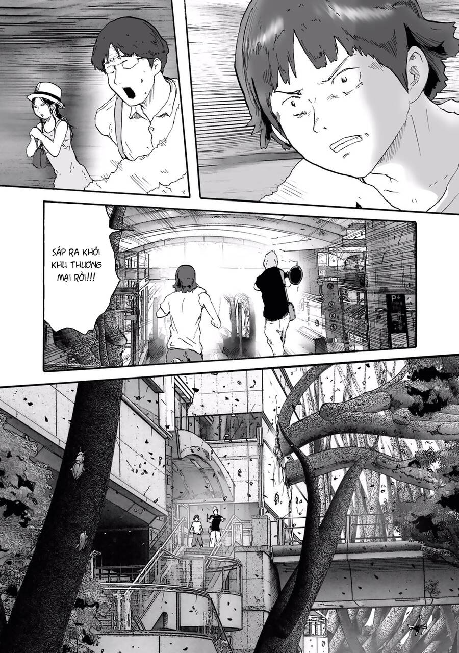 Insects R Chapter 6 - 12