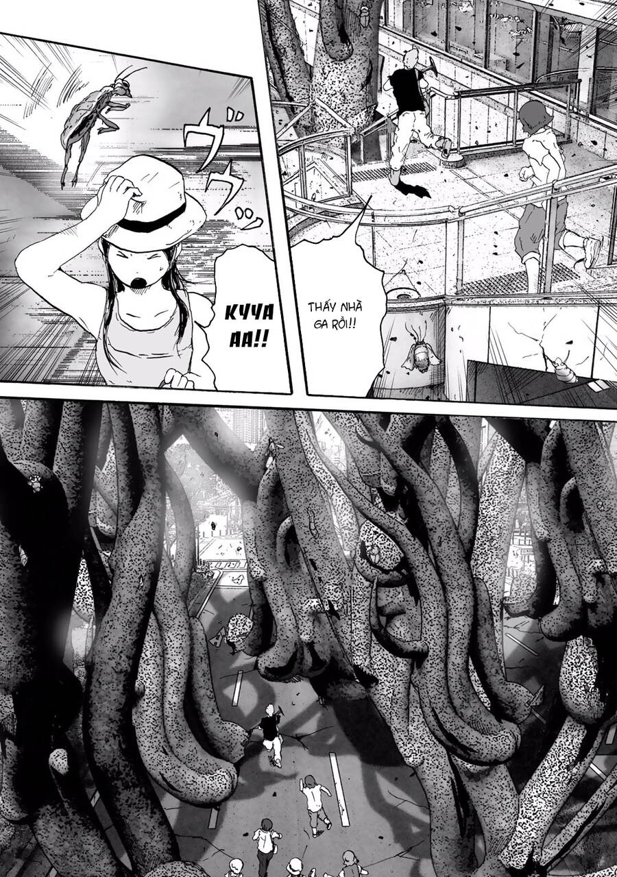 Insects R Chapter 6 - 13