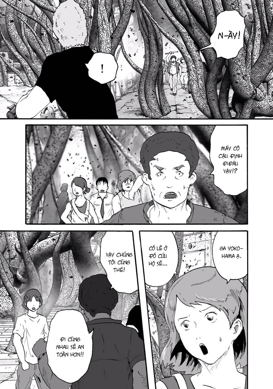 Insects R Chapter 6 - 14