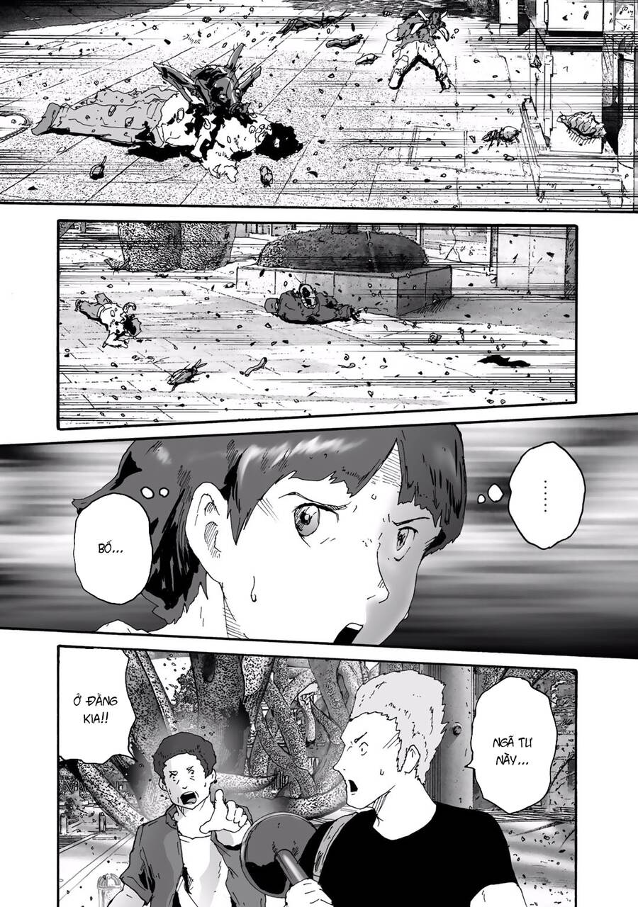 Insects R Chapter 6 - 15