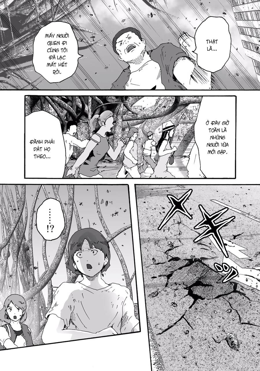 Insects R Chapter 6 - 16