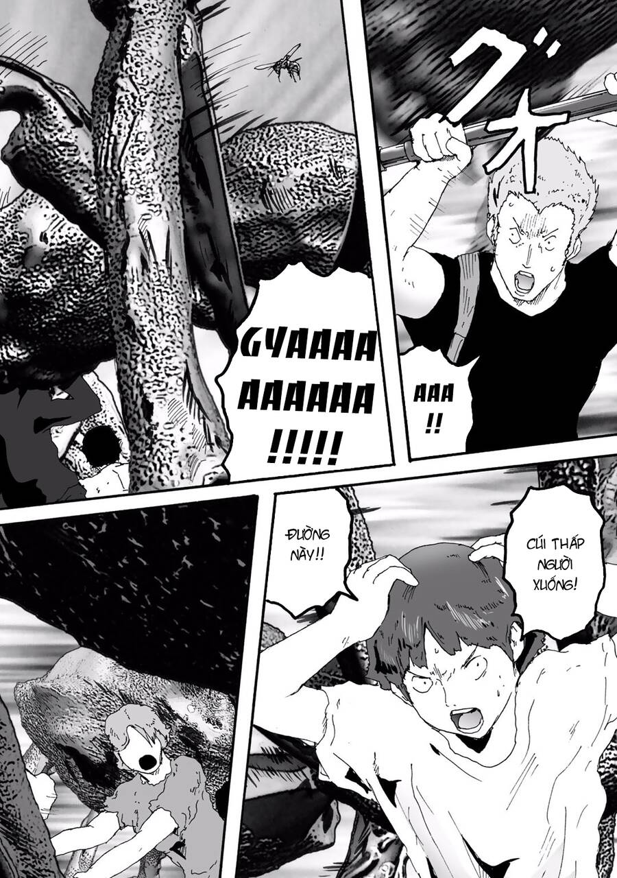 Insects R Chapter 6 - 22