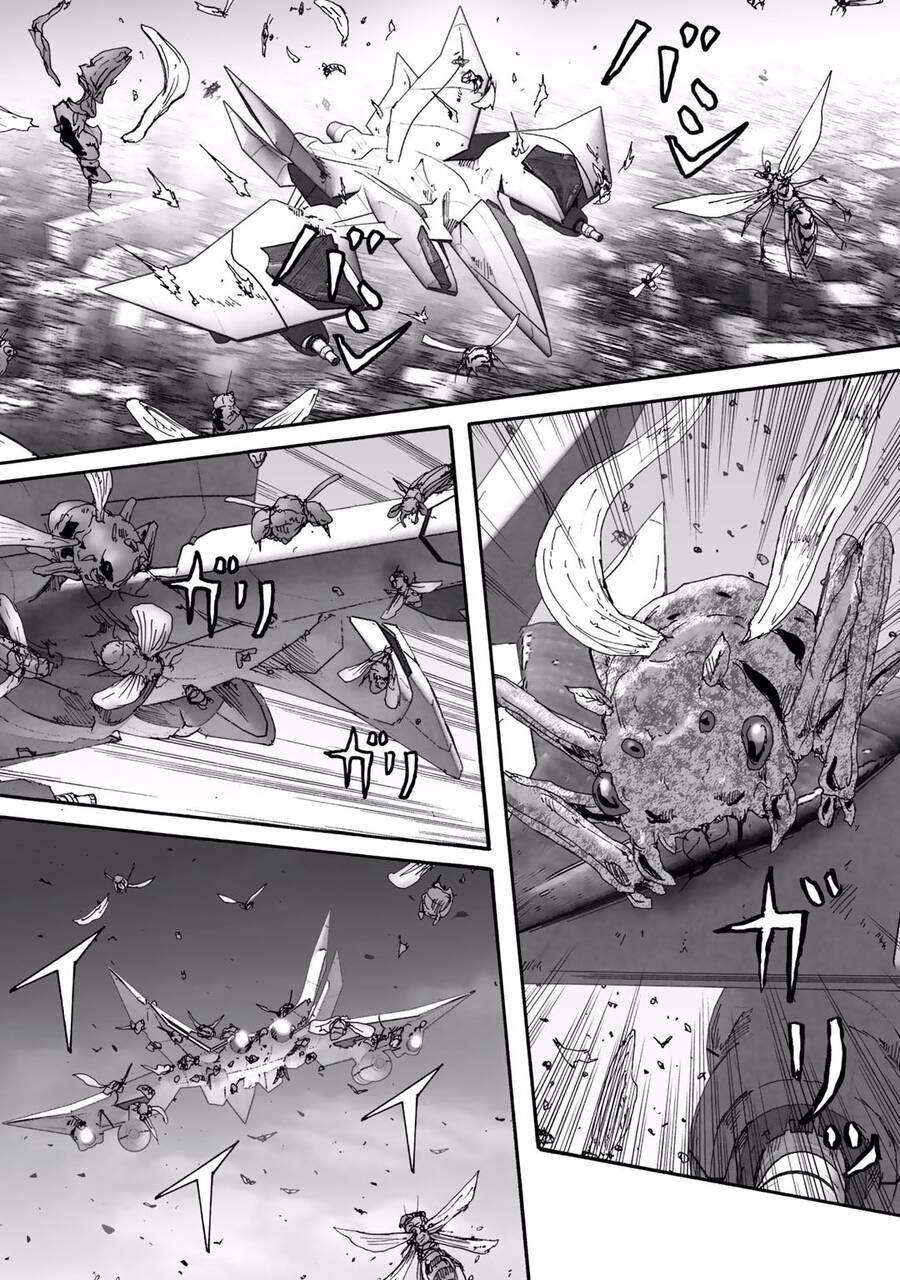 Insects R Chapter 6 - 28