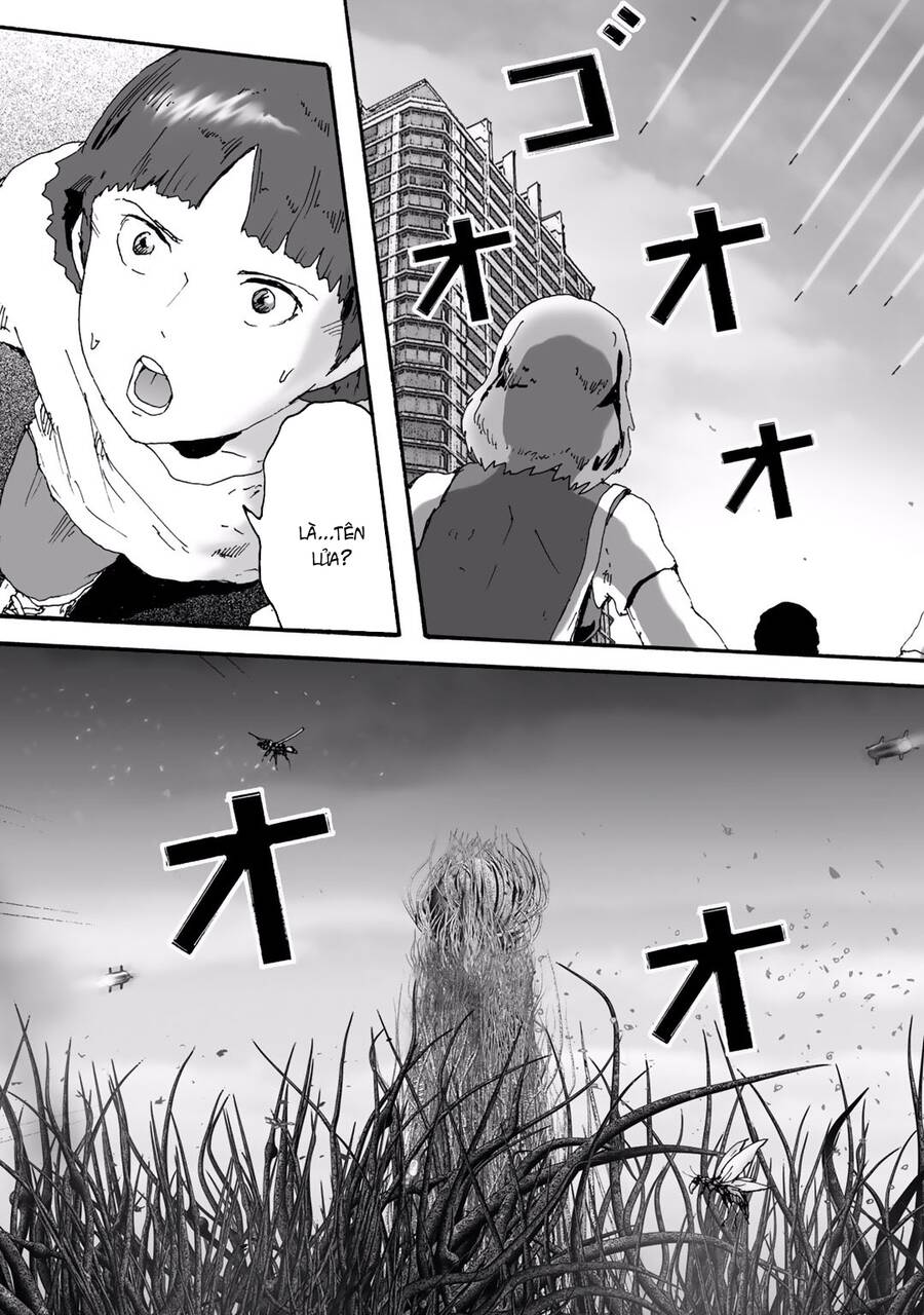 Insects R Chapter 6 - 37