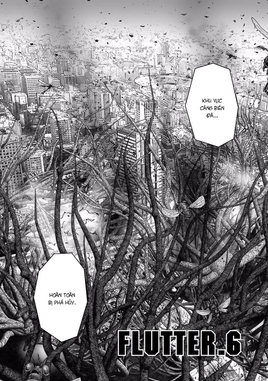 Insects R Chapter 6 - 6