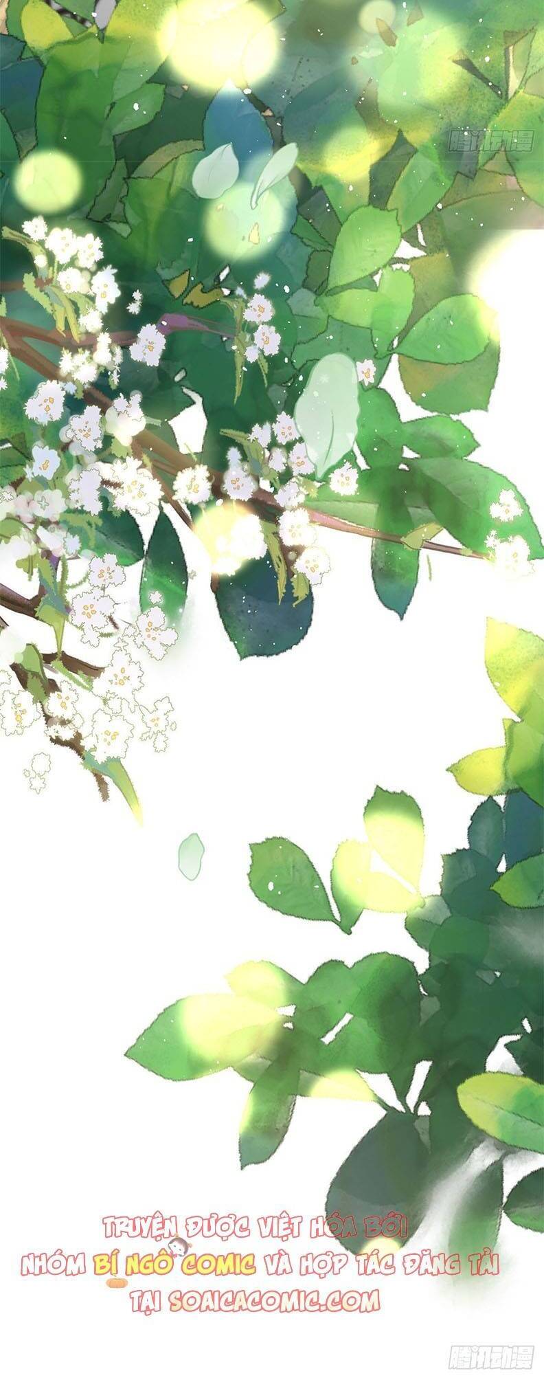 Thiên Kim Đẳng Cấp Của Ác Ma Chapter 12 - 2